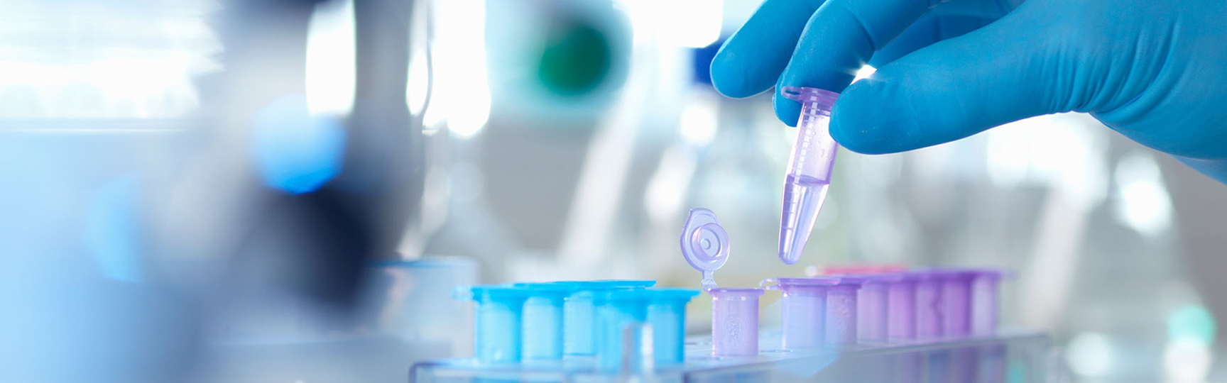 India's leading pure-play pharma player