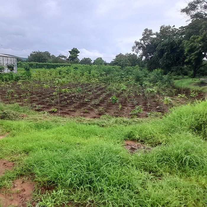 Safety Week Celebrations