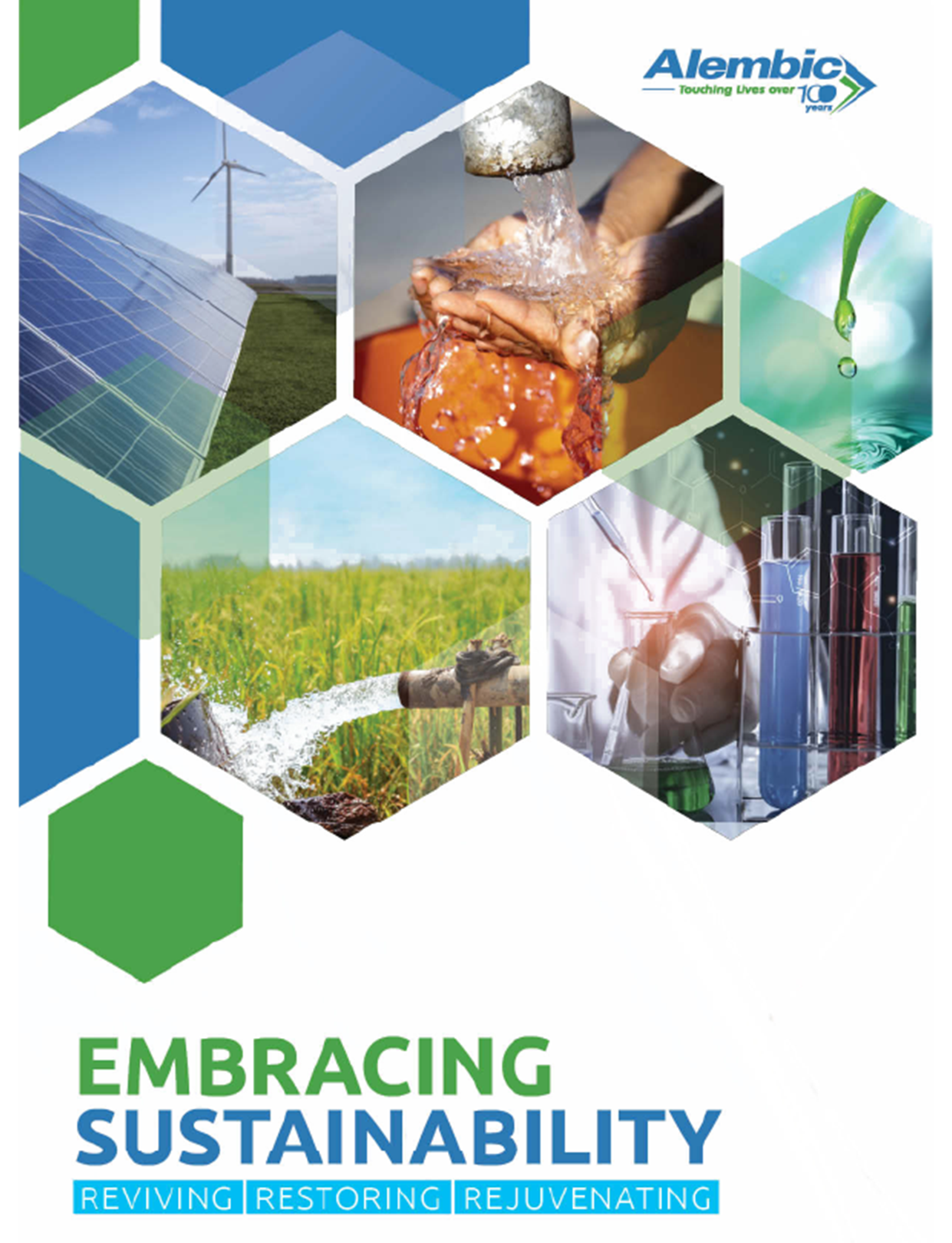 Sustainability Report 2024-2025